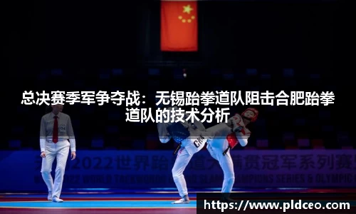 总决赛季军争夺战：无锡跆拳道队阻击合肥跆拳道队的技术分析